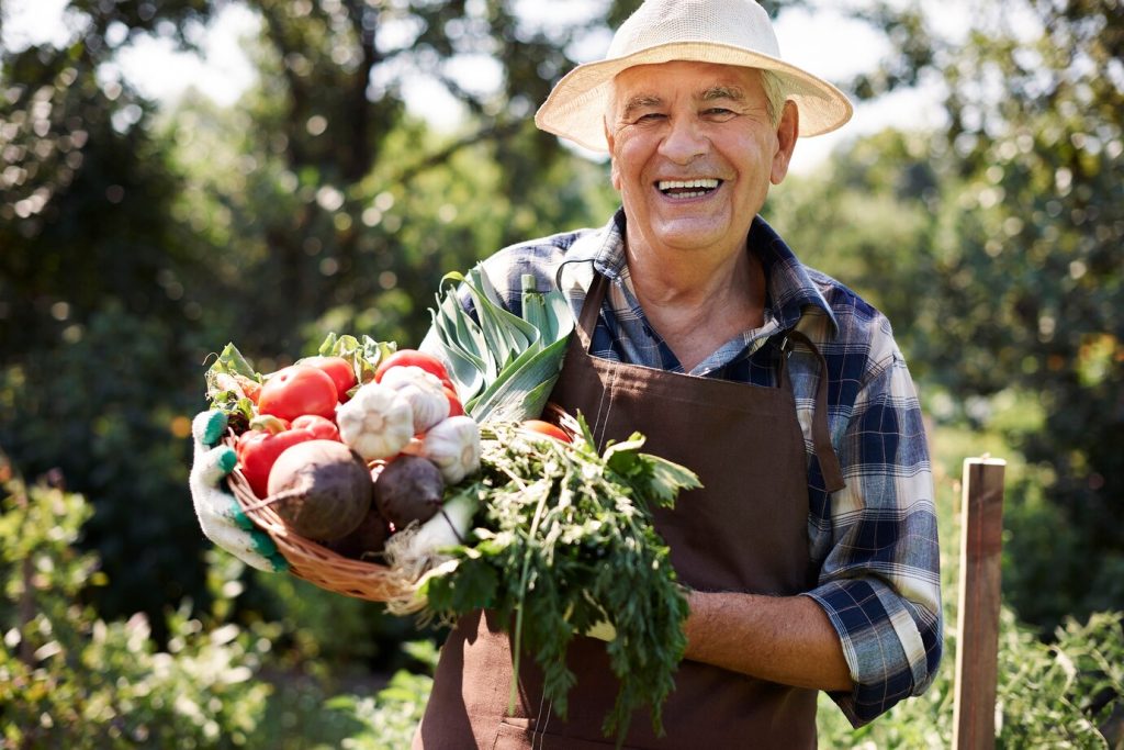 hombre mayor trabajando campo cofre verduras 329181 12406